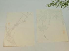 《毅然花笺》，姜毅然绘，一份八种，每种二张，共计十六张，尺寸为28.2*20.5cm，杨柳青画社80年代以罗纹宣印制