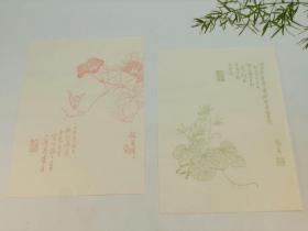 《龢庵花笺》，张兆祥绘，一份六种，每种二张，共计十二张，尺寸为28*19.8cm，杨柳青画社80年代以罗纹宣印制。