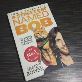 英文原版 流浪猫鲍勃 A Street Cat Named Bob 9781473633360