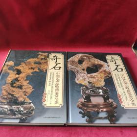 奇石 中国艺术品收藏鉴赏全集：典藏版