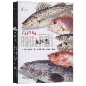 菜市场鱼图鉴 自然观察丛书 吴佳瑞赖春福著 餐桌上的自然观察课 自然科学科普读物 海洋科普读书鱼类生物自然科学书籍
