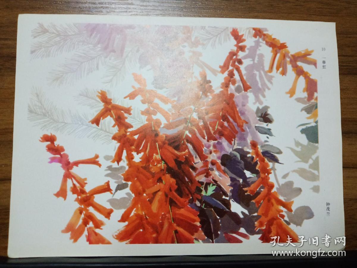 水粉画:一串红——钟茂兰 绘