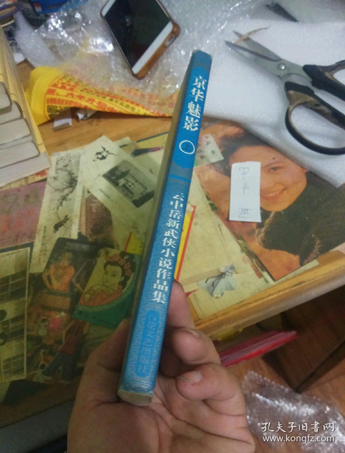 云中岳新武侠小说作品集《京华魅影》(下)