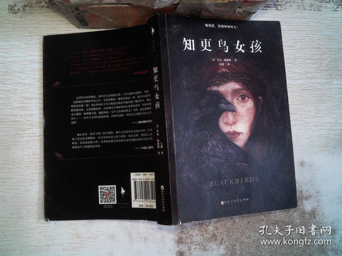 知更鸟女孩