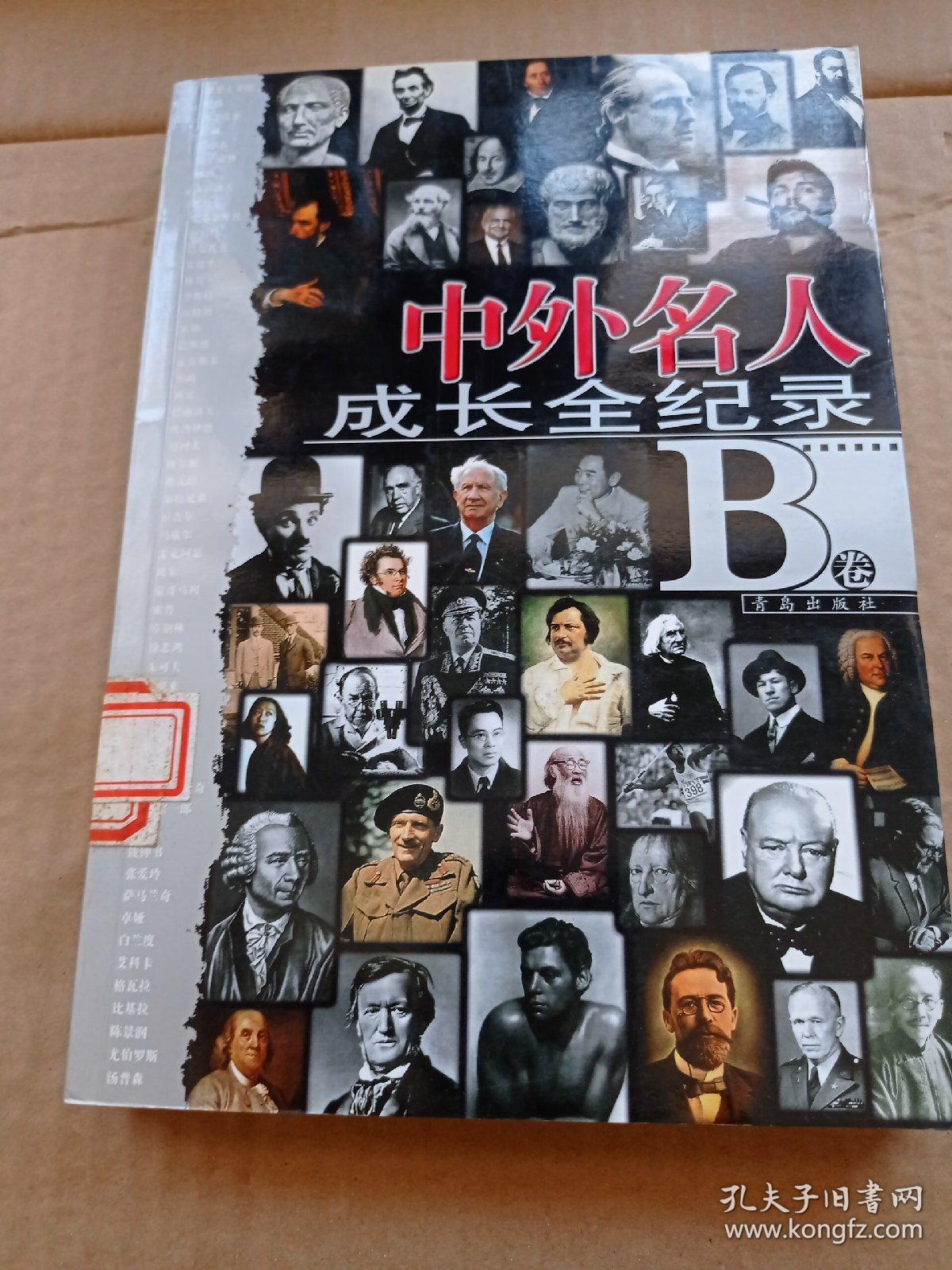 中外名人成长全纪录(b卷)