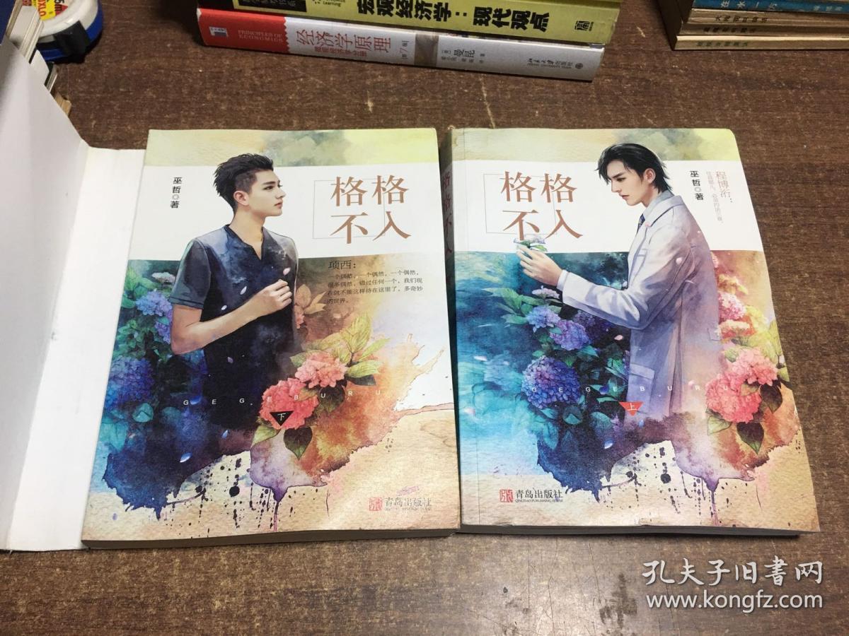 格格不入全两册架241