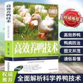 高效养鸭技术 养鸭技术书籍大全 鸭病诊断与防治养鸭饲料配方养殖书籍大全