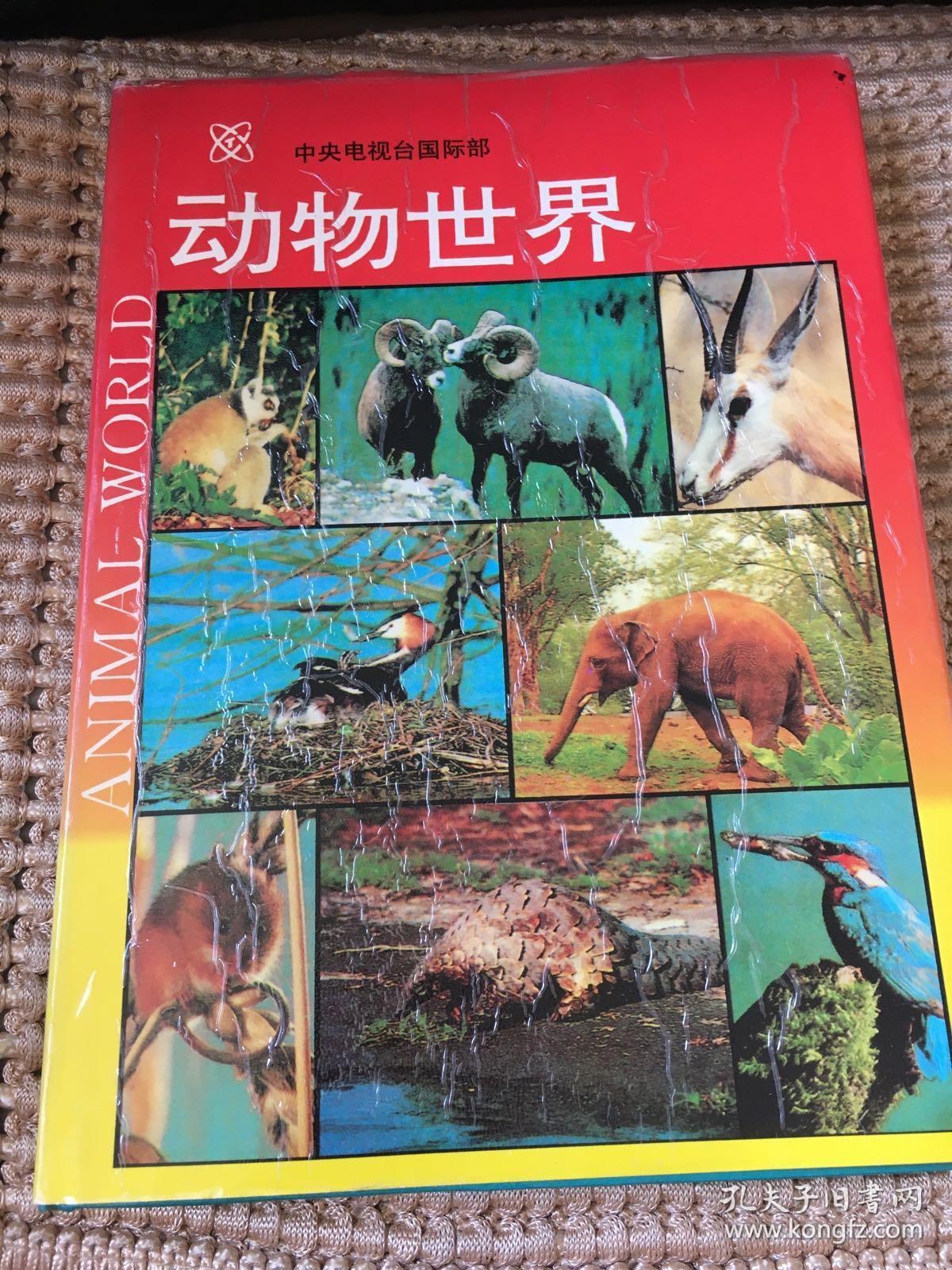 动物世界
