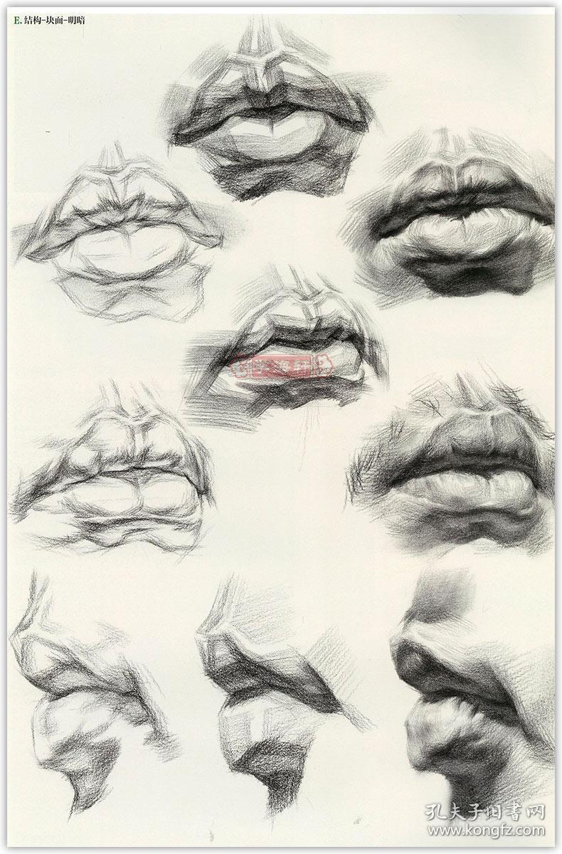 学海轩素材5000例头像刘宇敲门砖素描书入门基础教程美术高艺考自学