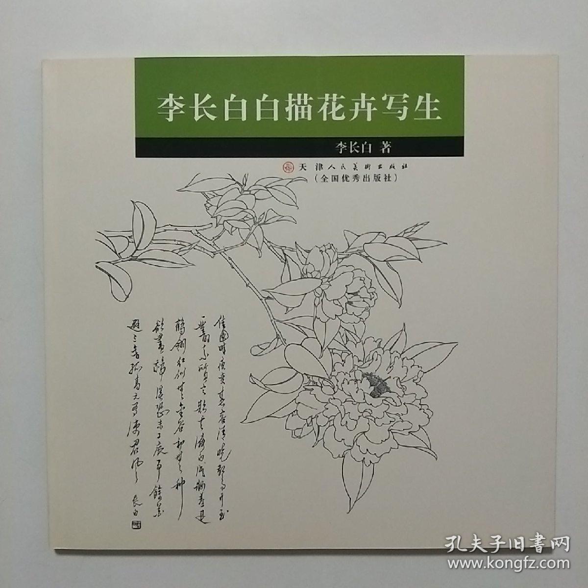 李长白白描花卉写生