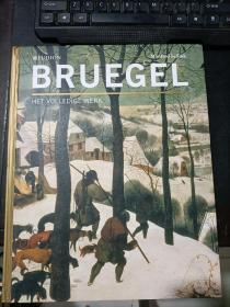 Bruegel 西方绘画大师.勃鲁盖尔画集  精装 如图