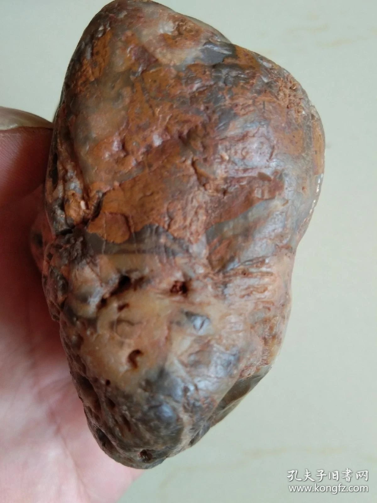 树化玉原石(呈色:白,黄,红,青等)