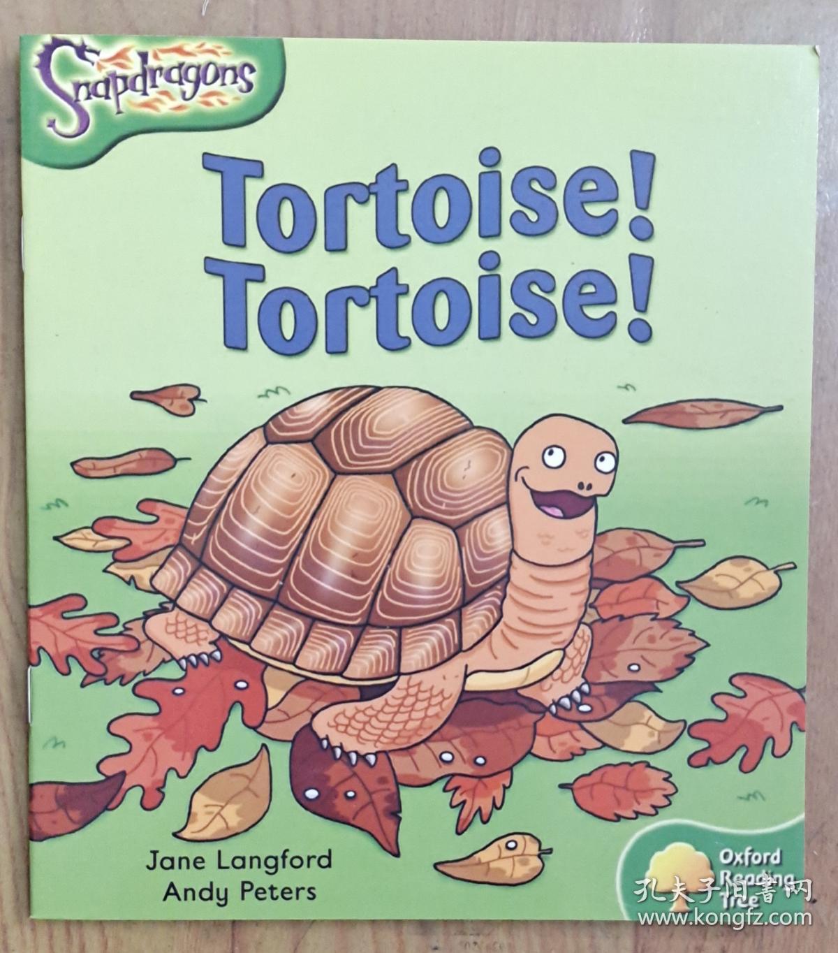 tortoise! tortoise! (英语) 绘本