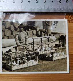 【古董级】收藏级别老照片----日据时期---东北卖鸽子集市--早期信鸽养鸽人