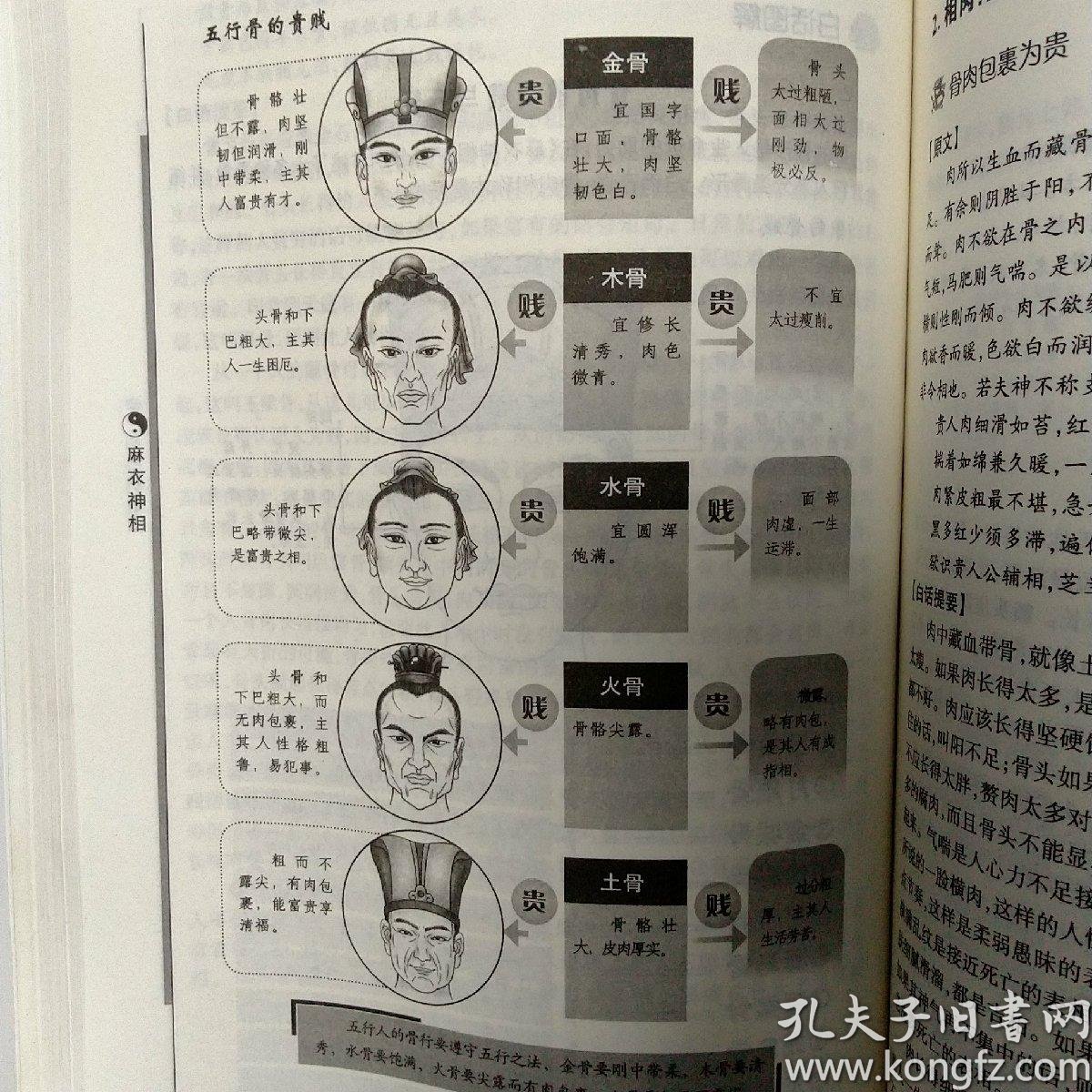 麻衣神相(白话经典版)