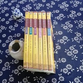 高管商学院：产品管理，数据挖掘，运作管理，税收与企业战略，公司治理，价值评估【6本合售】