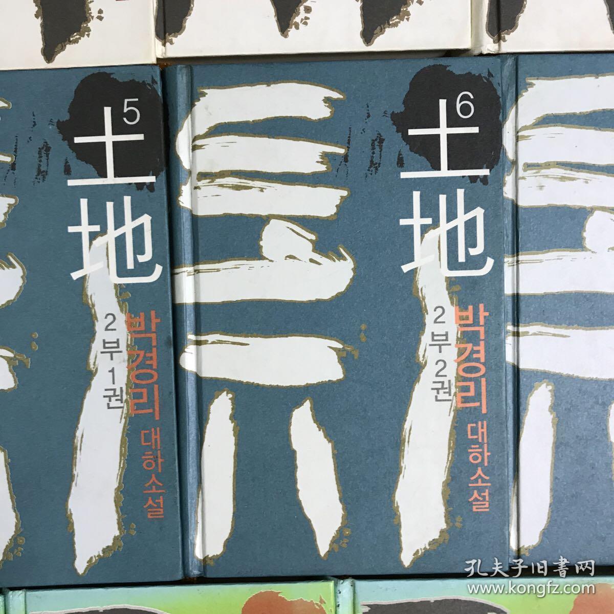 韩国朴景利《土地》