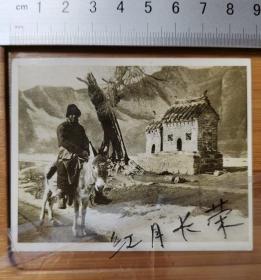 【收藏级】老照片----满洲国时期---雪地骑骡子经过土地庙的人-----路边被雷劈剩下一截的树--------背面日文