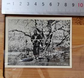 【收藏级】老照片----满洲国时期-----花树下老人小孩子-----带日文