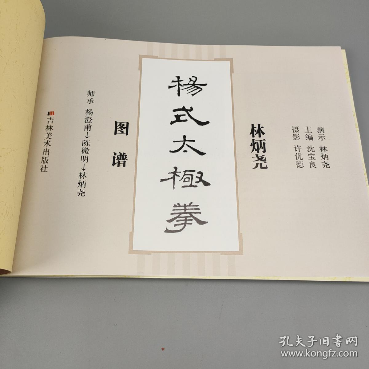 林炳尧杨式太极拳图谱