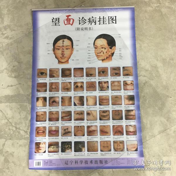 望面诊病挂图 附说明书 实库存 非二手