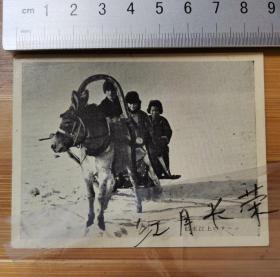 【收藏级】老照片---满洲国时期----结冰江上的驴车-----带日文--中间人物像是微笑的女子（大汉奸川岛芳子？）