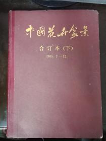 中国花卉盆景合订本（下）1985年  7-12