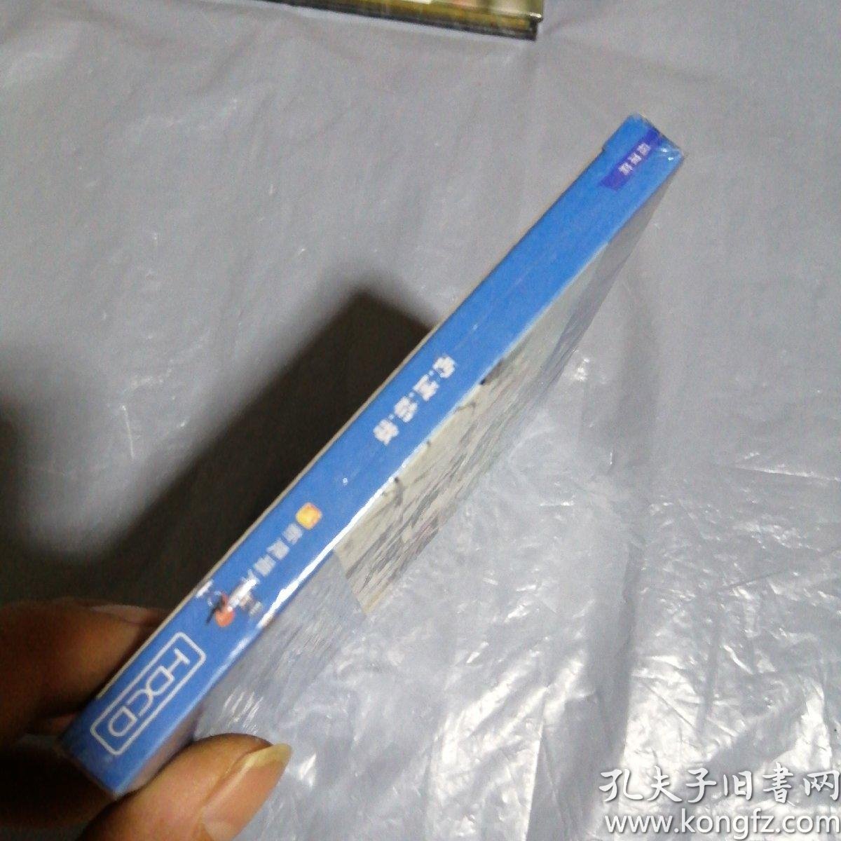 cd 光盘 西域情歌 摇滚篇