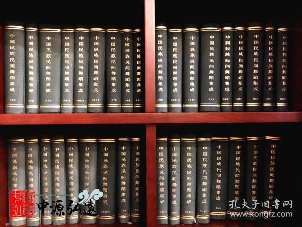 中国民族民间舞蹈集成（全套）豪华版