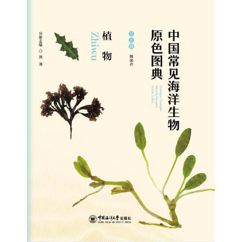 中国常见海洋生物原色图典 植物