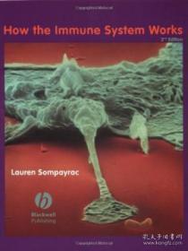How the Immune System Works