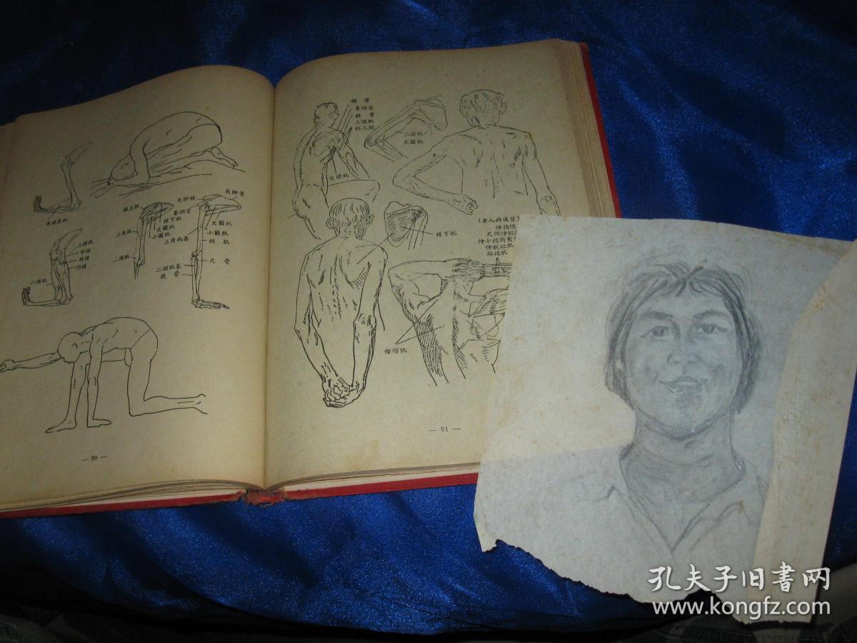 艺术解剖学(修订本)