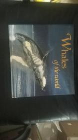 Whales of the World （Worldlife Discovery Guides）