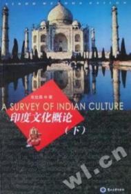 《印度文化概论：上、下册》