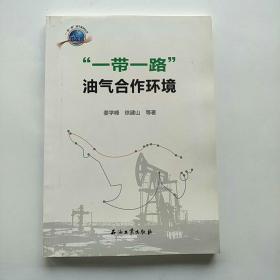 “一带一路”油气系列丛书：“一带一路”油气合作环境