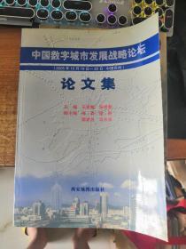 中国数字城市发展战略论坛 论文集