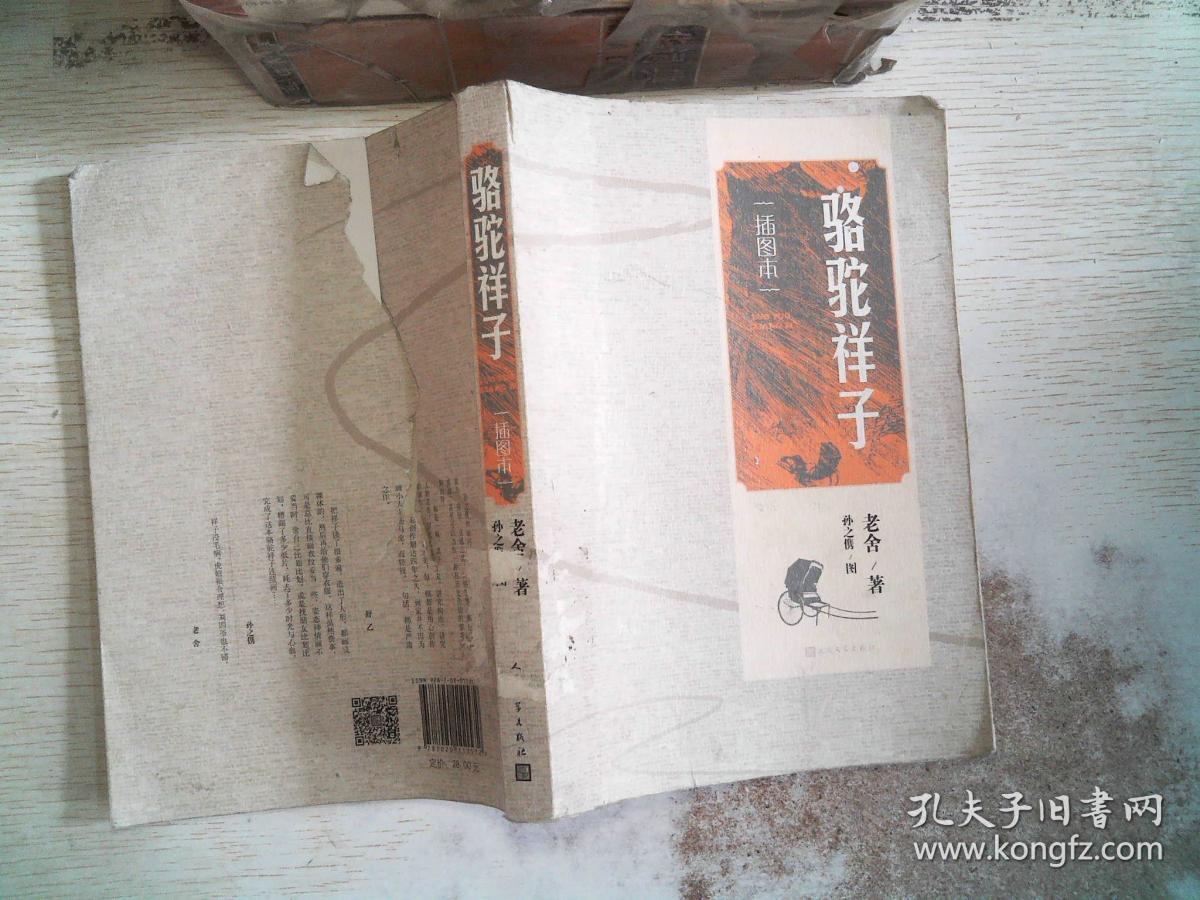 沙漠王子电瓶和骆驼_为什么热带沙漠是单峰骆驼而温带沙漠是双峰骆驼_骆驼在沙漠雪中漫步