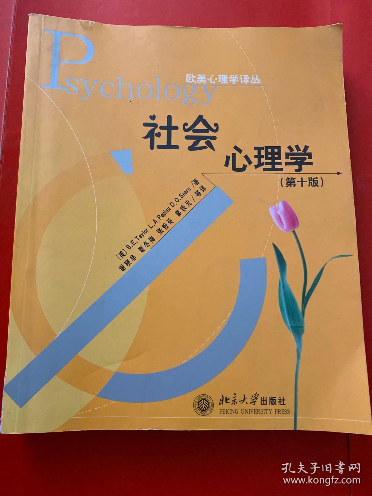 社会心理学:第十版