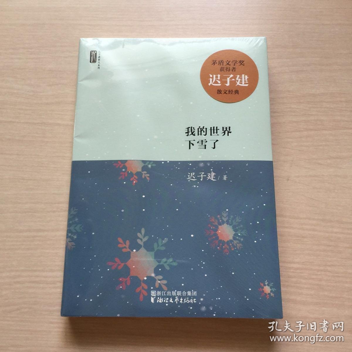 迟子建散文系列:我的世界下雪了(未开封)
