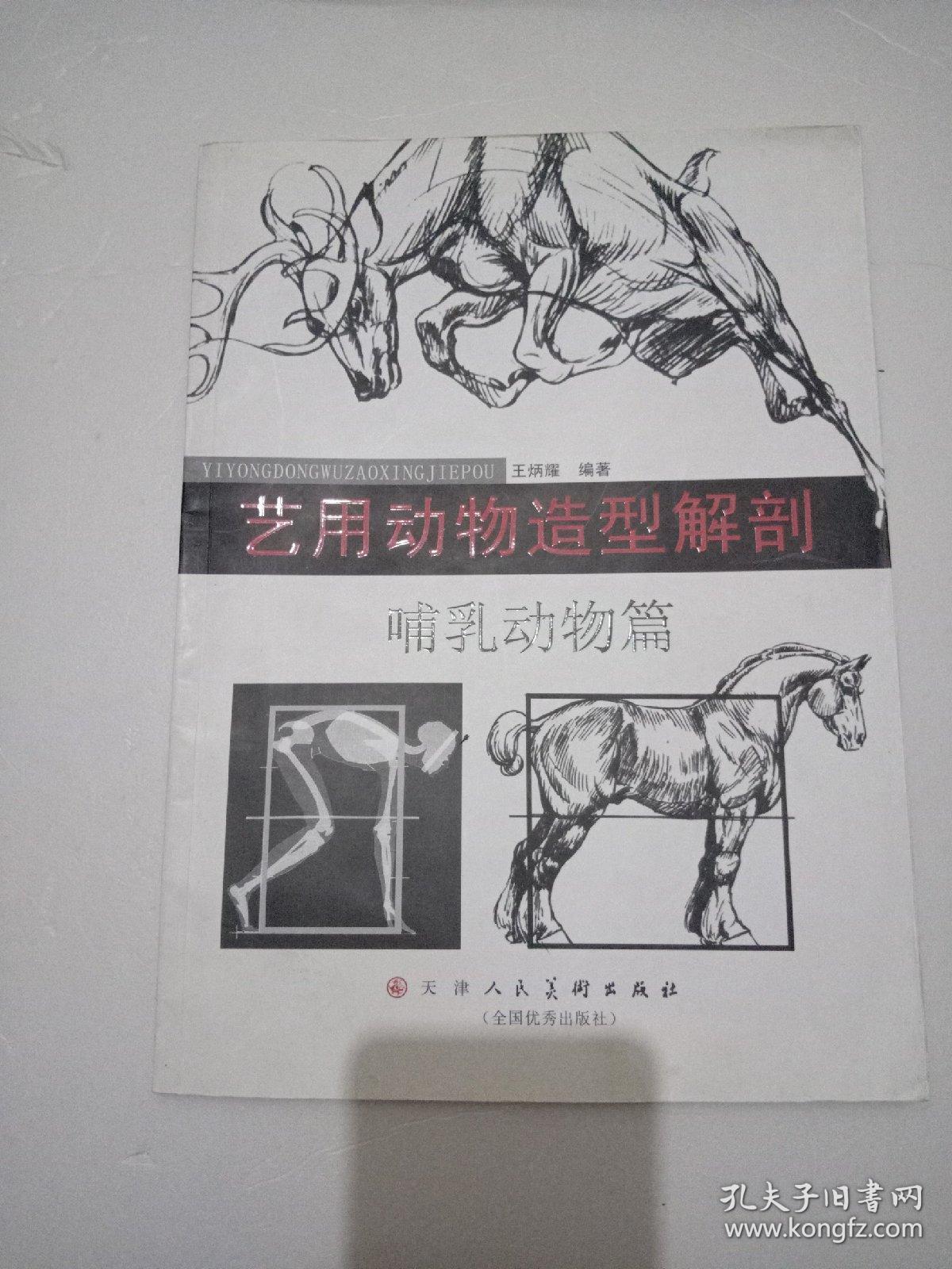 艺用动物造型解剖:哺乳动物篇