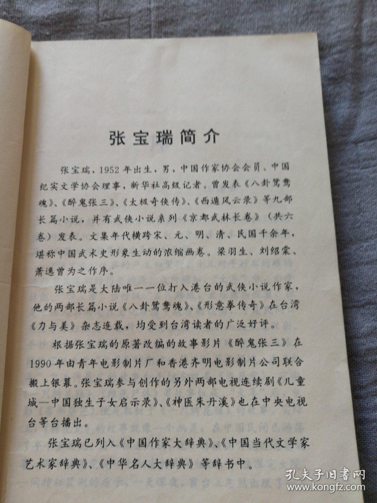 梅花党(悬疑小说)