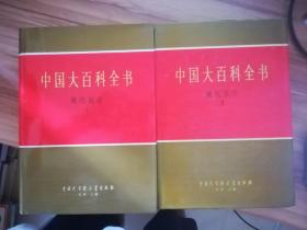 中国大百科全书 现代医学I+II 两本合售
