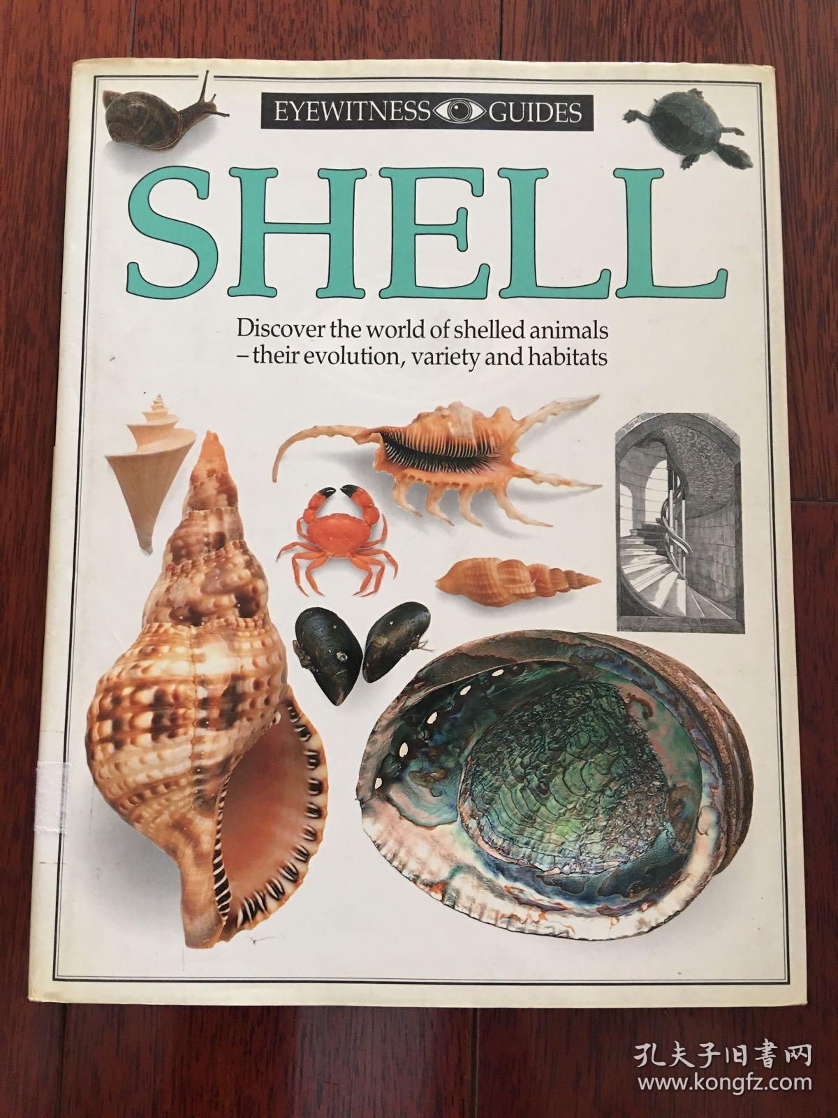 dk英文版 发现者丛书 shells: photographic recognition guide 贝壳