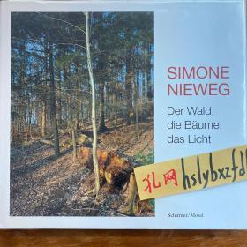 Simone Nieweg, 森林，樹木，光