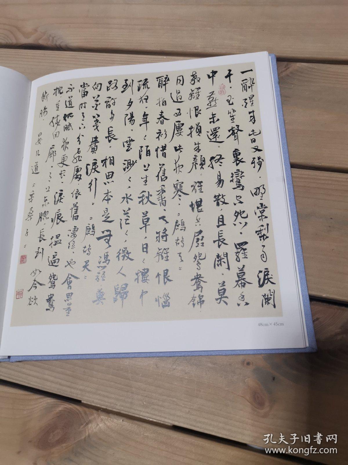 袁硕行书宋词集(布面精装)