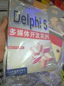 Delphi 5 多媒体开发实例