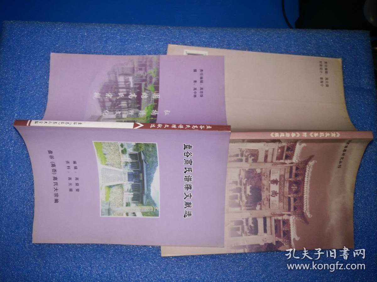 盘谷高氏谱牒文献选 高友玑集【合售】