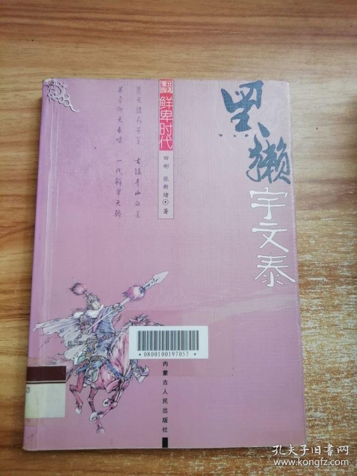 北方星灿·鲜卑时代:黑獭宇文泰