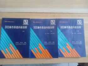 联想计算机丛书之一：DOS操作系统内核剖析 上册、下册【第一部分·文件系统+第二部分·控制进程】 三册