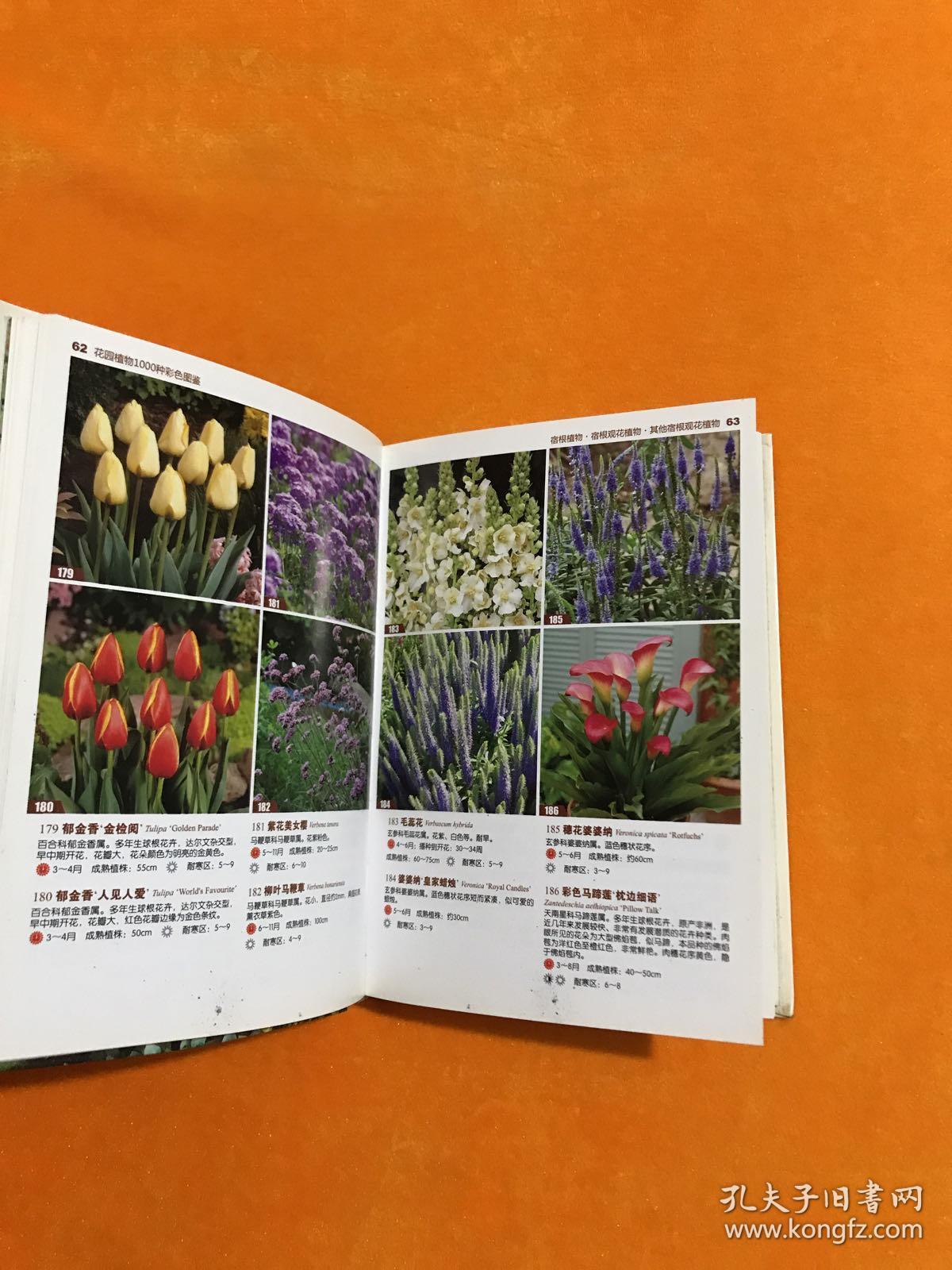 花园植物1000种彩色图鉴